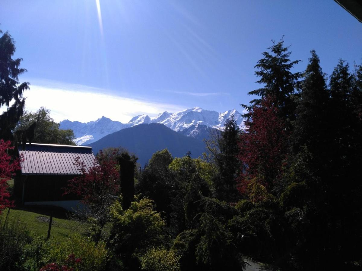 Apartamento Mont Étape , F2, 42 m2, Calme, Vue Mt Blanc Passy  Habitación foto